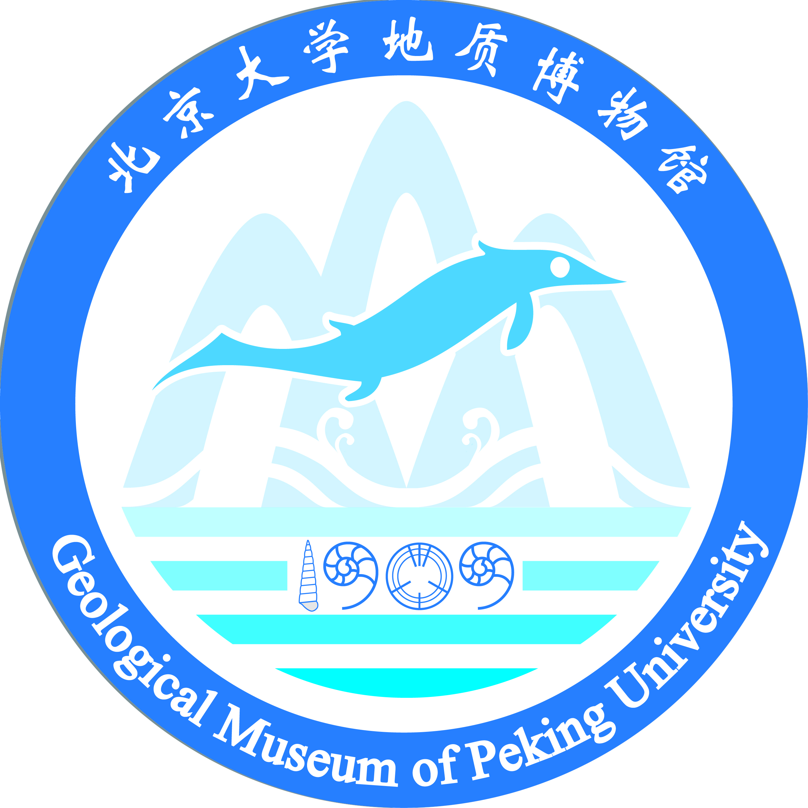 韩国直播